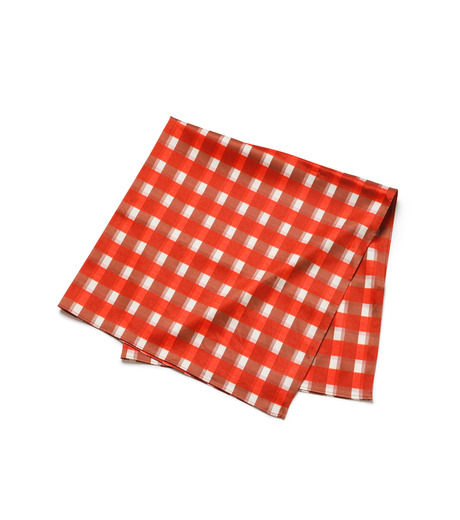 ル シェル ブルー - LE CIEL BLEU | Check Printed | RESTIR