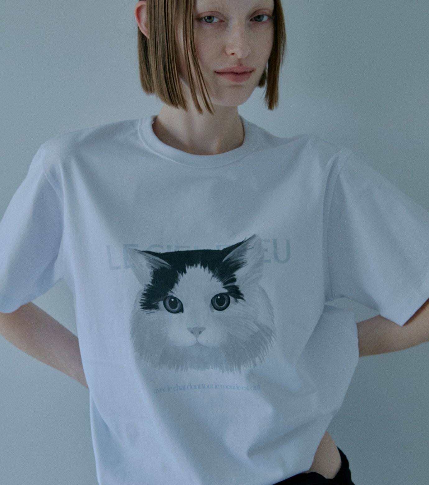 ル シェル ブルー - LE CIEL BLEU | Cat Relaxed | RESTIR リステア