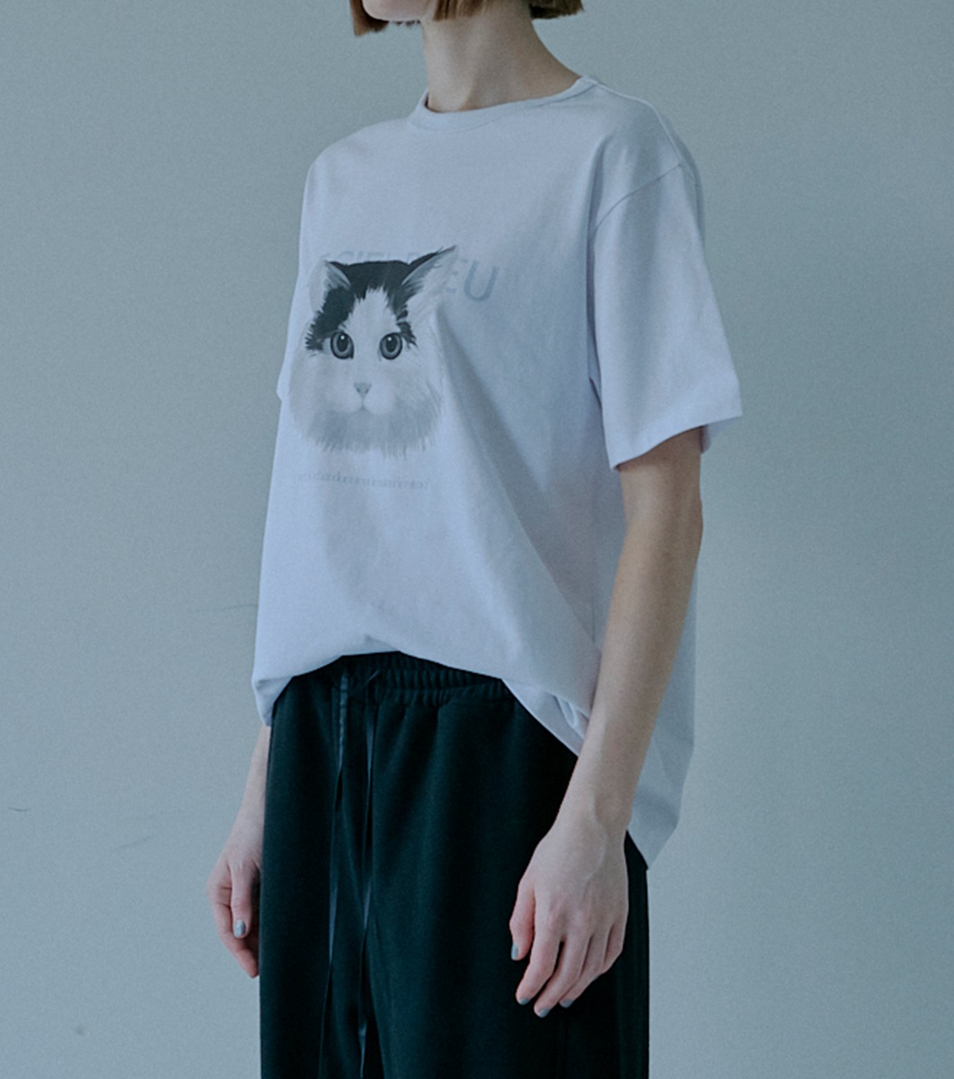 ル シェル ブルー - LE CIEL BLEU | Cat Relaxed | RESTIR リステア