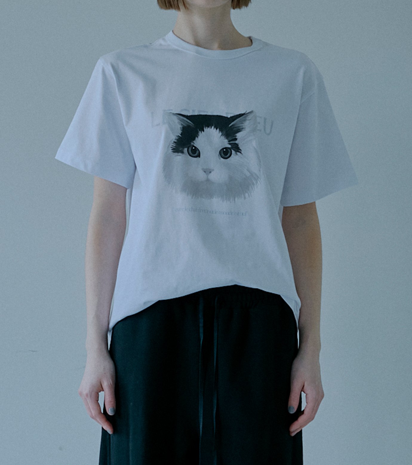 ル シェル ブルー - LE CIEL BLEU | Cat Relaxed | RESTIR リステア