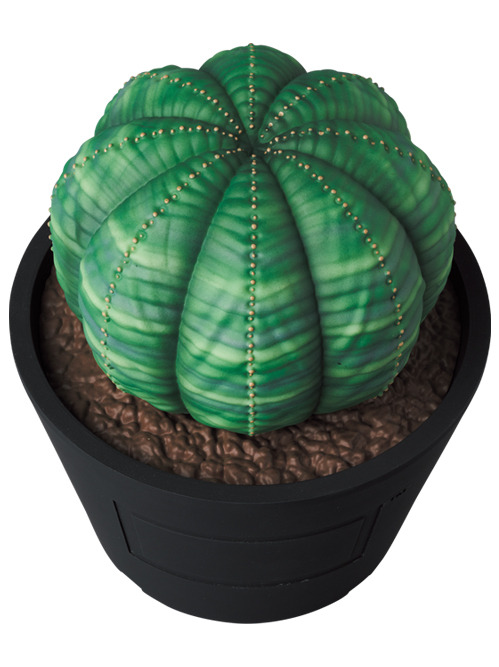 その他 MEDICOM TOY - MEDICOM TOY &quot;BEARBRICK&quot; Euphorbia obesa 楽天市場】BE@RBRICK Euphorbia obesa 100％ & 400％ : MEDICOM