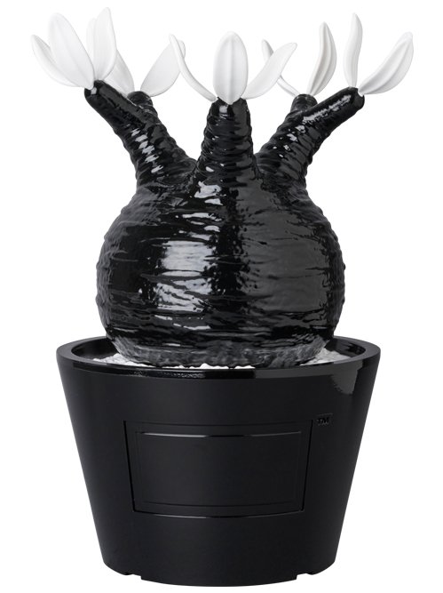 MEDICOM TOY VCD Pachypodium Gracilius GLOSS BLACK