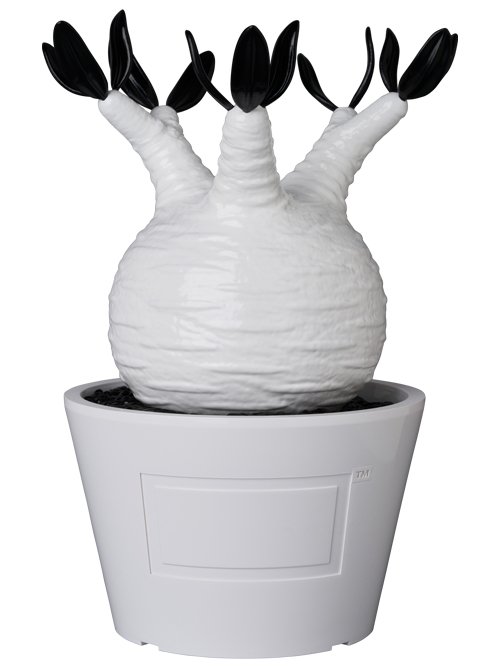 MEDICOM TOY VCD Pachypodium Gracilius GLOSS WHITE