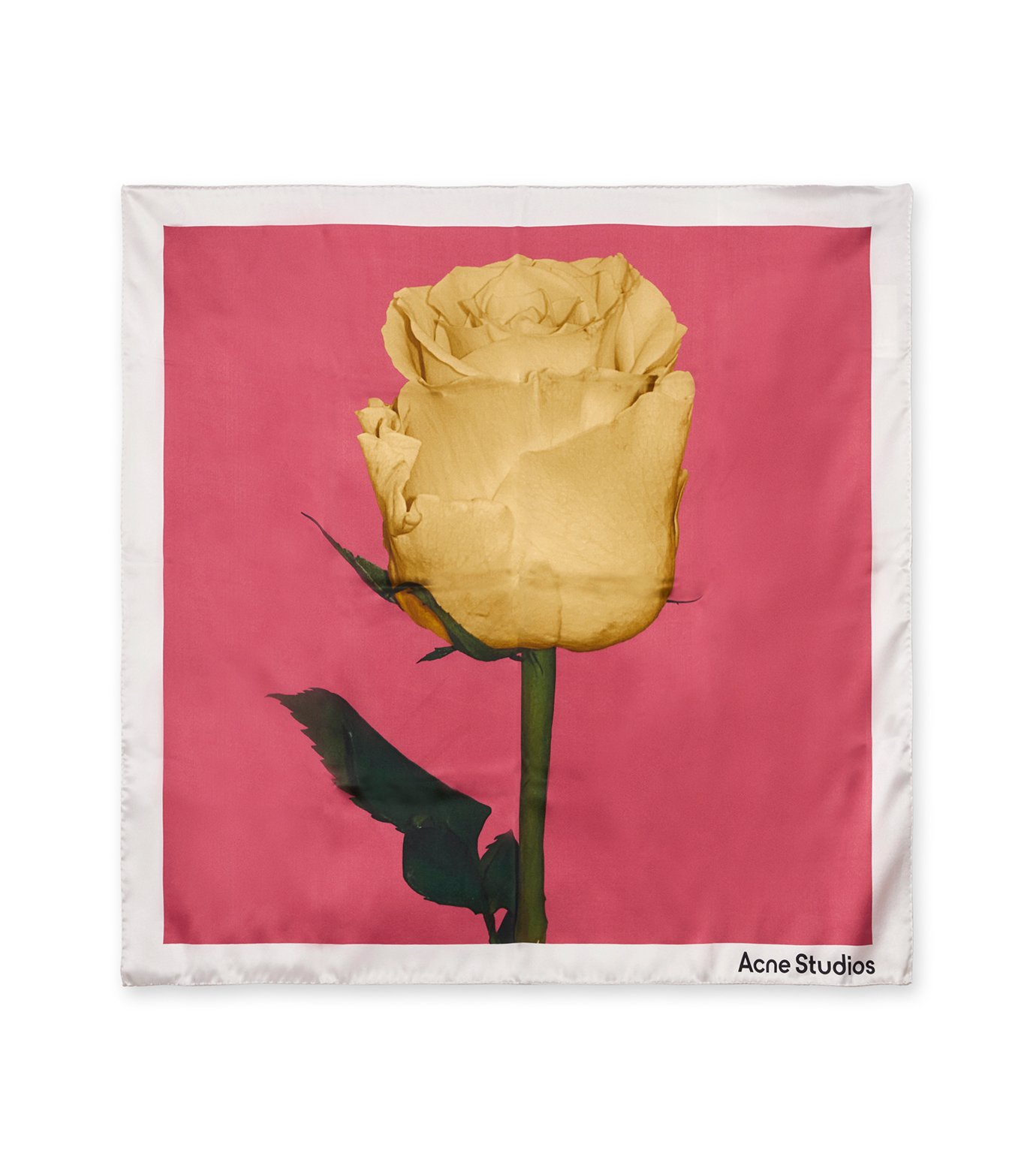 アクネ ストゥディオズ - Acne Studios | Vasco Rose Scarf-Pink-Fの
