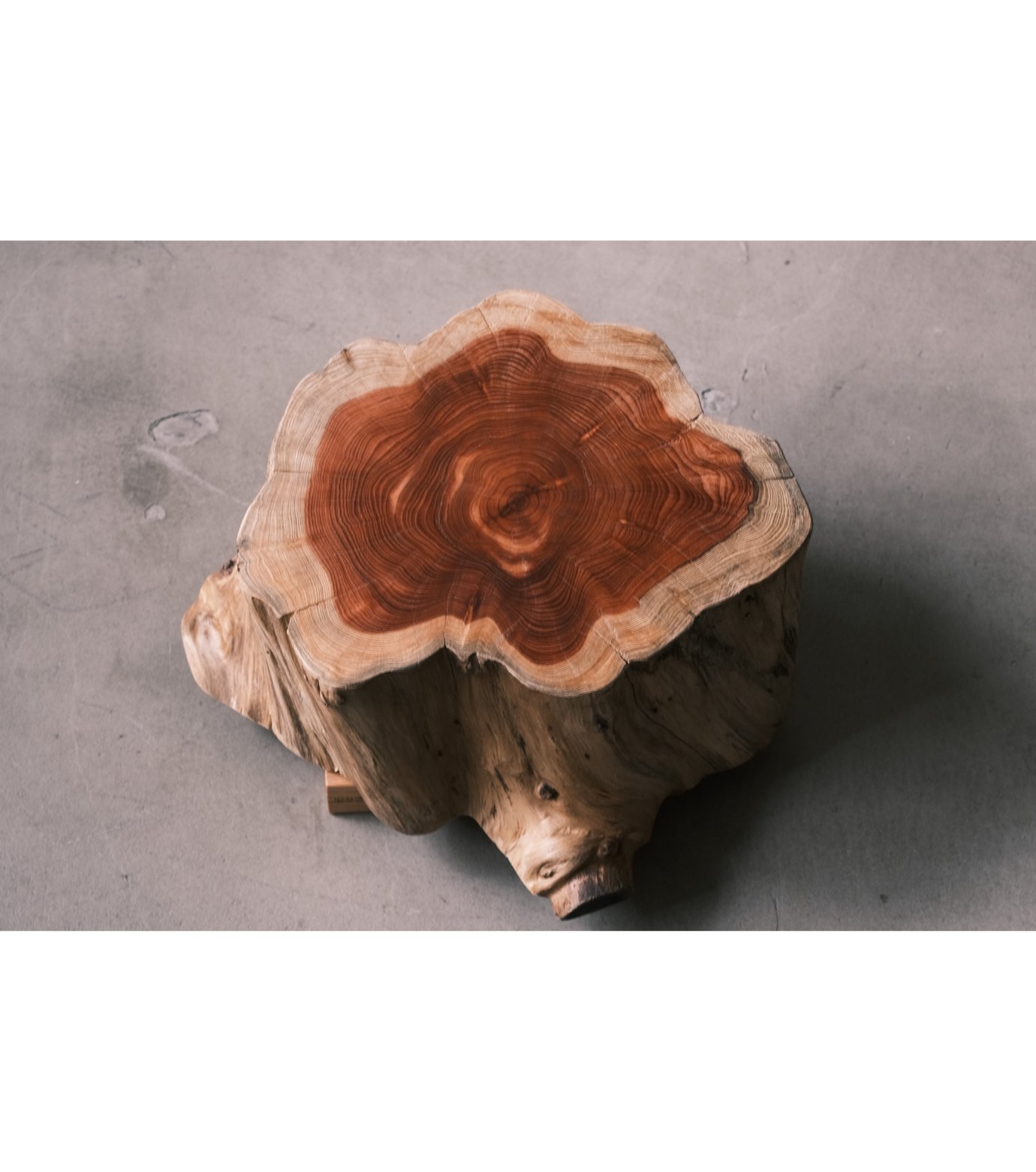 ワンダーウッド - WONDERWOOD | Wood Plate（貝塚伊吹/カイヅカイブキ